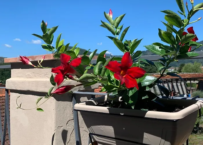 Piccola Dimora B&B